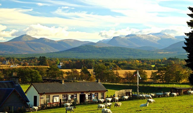 Photograph of Broomhill / Glenbogle railway station with the Cairngorms in the background